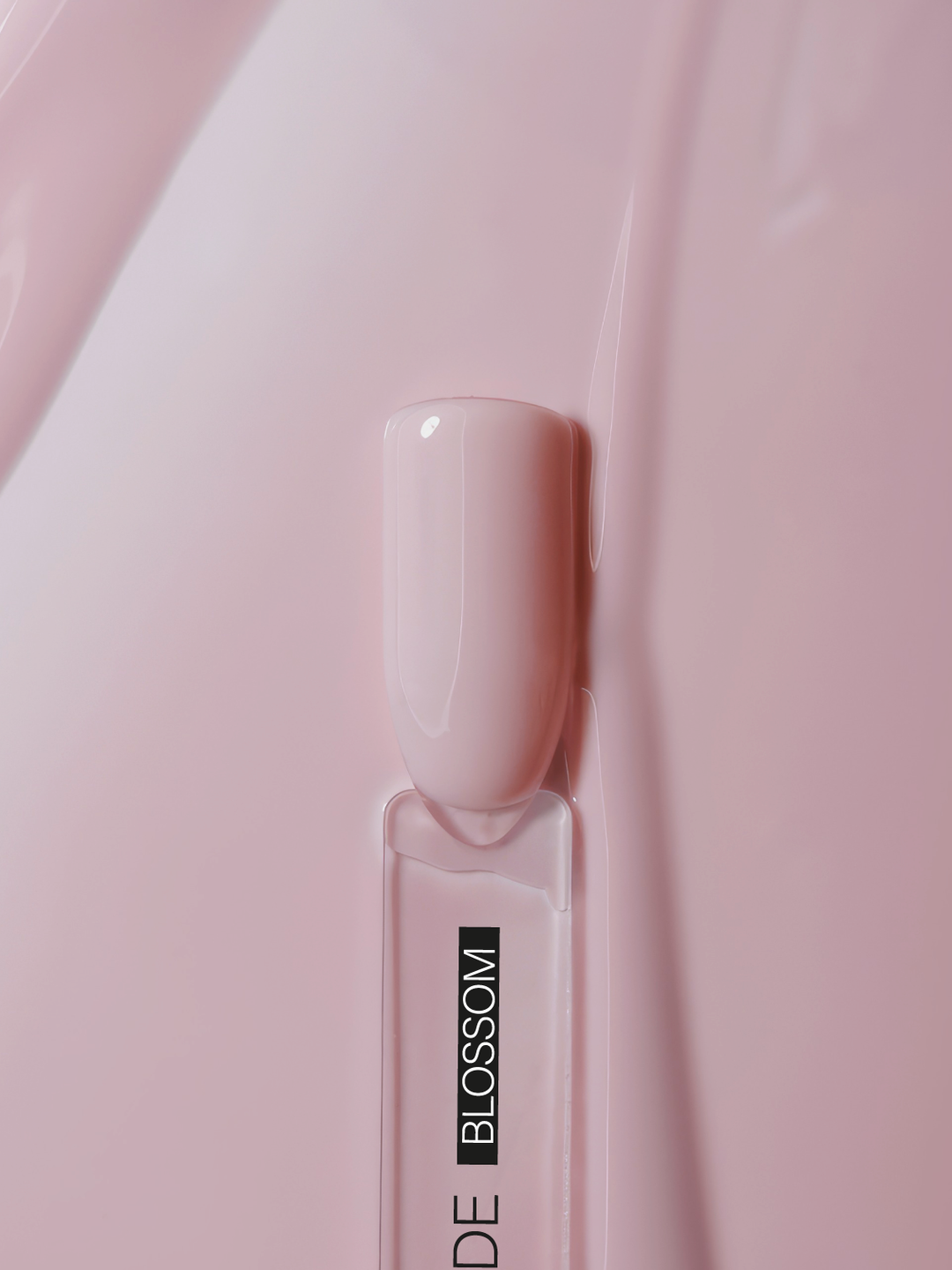 OVER THE NUDE, BLOSSOM