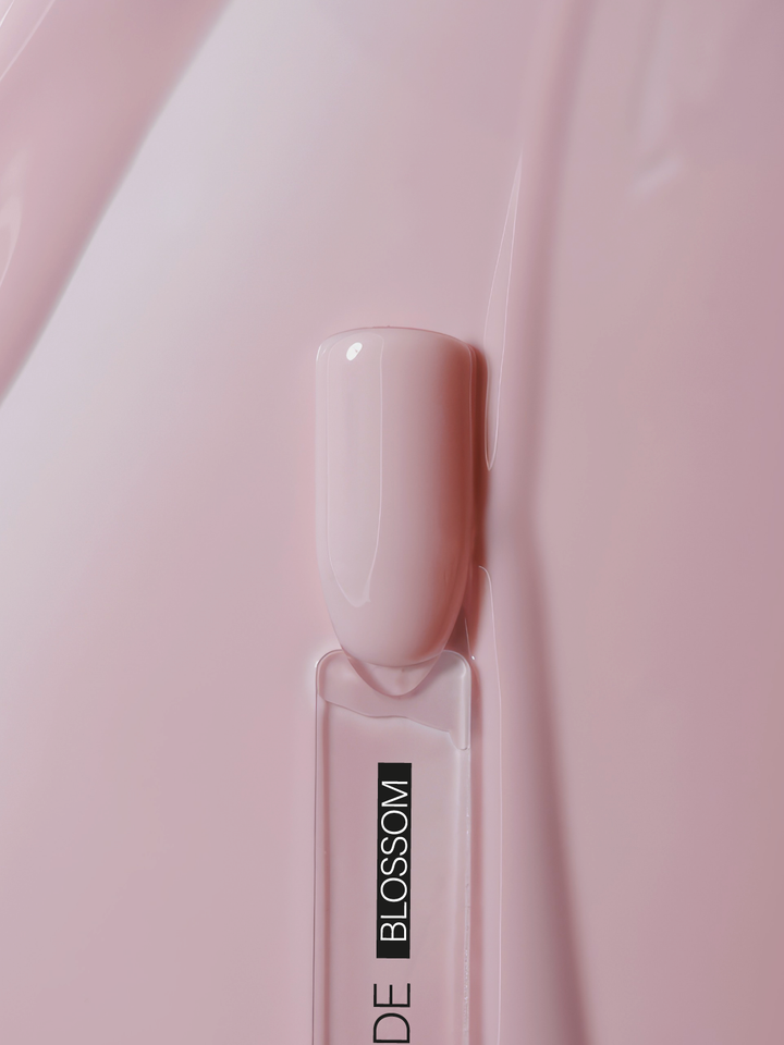 OVER THE NUDE, BLOSSOM