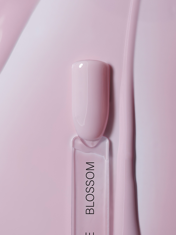 OVER THE NUDE, BLOSSOM