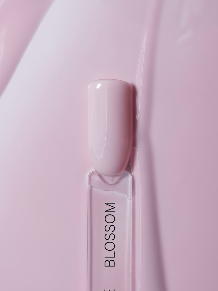 OVER THE NUDE, BLOSSOM