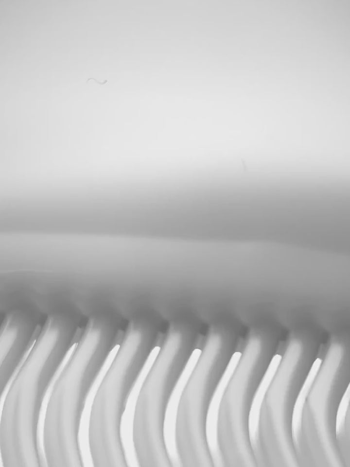 WHITE COLLECTION, #501